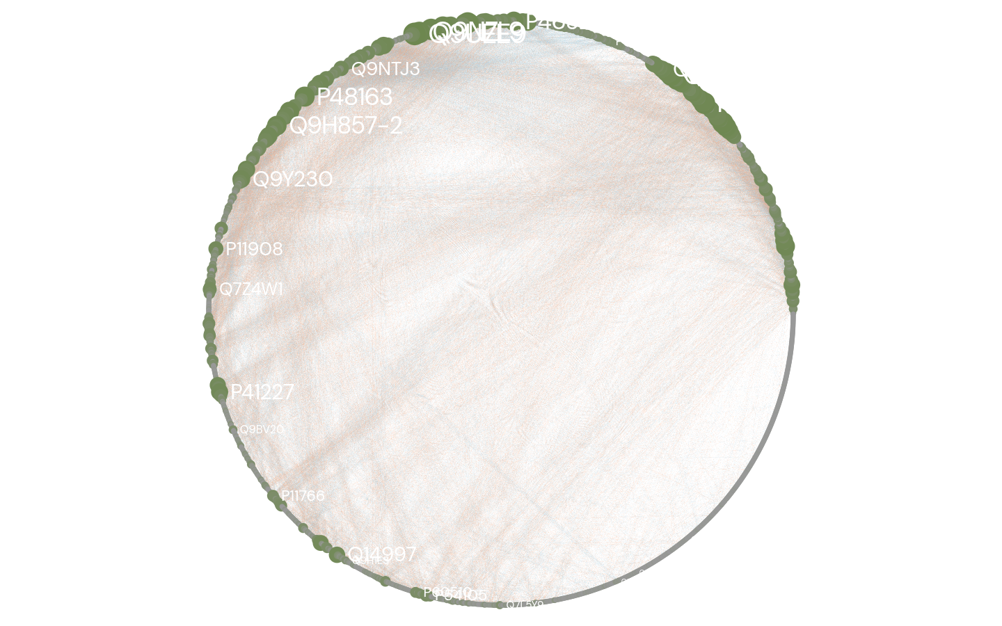 Network Graph