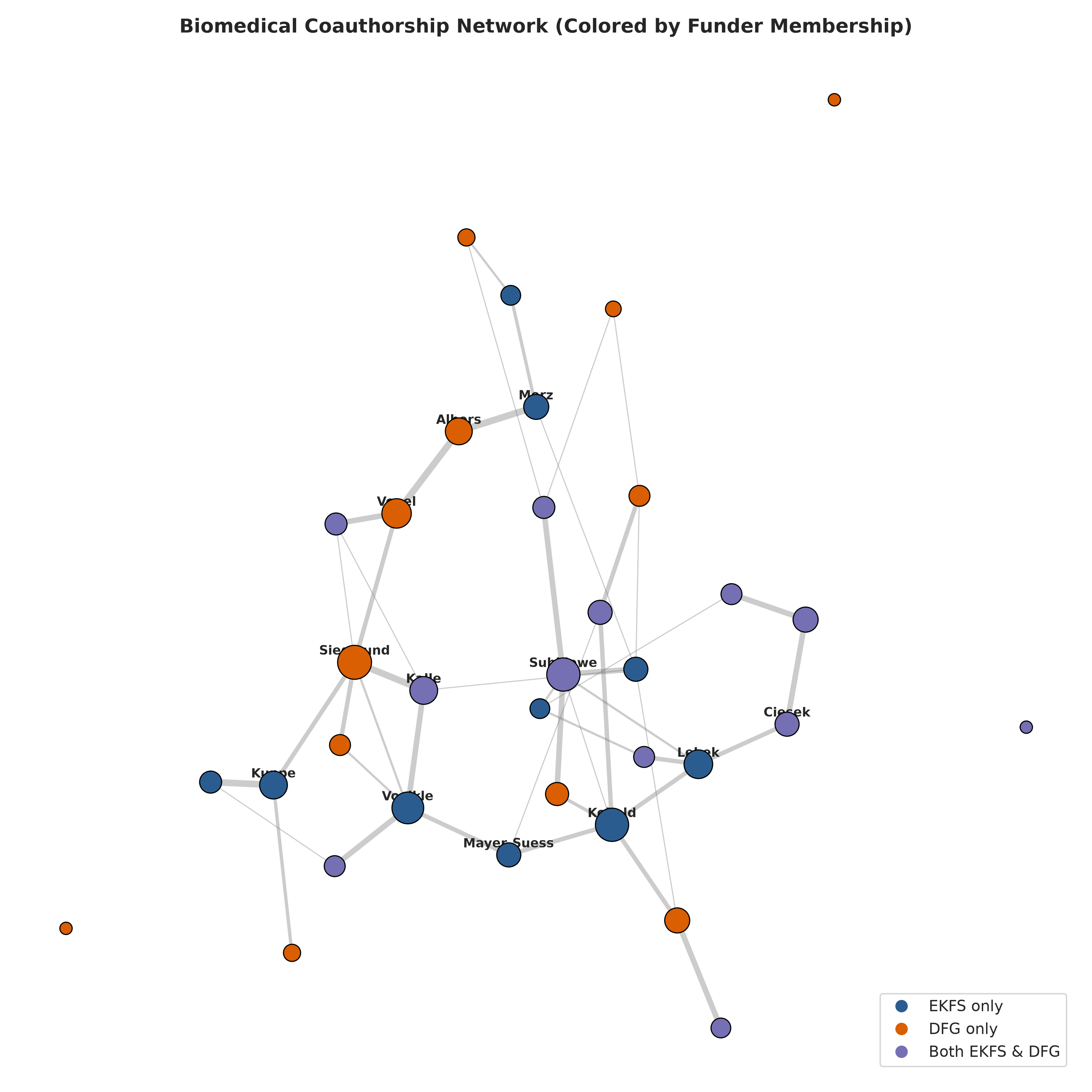 Researcher coauthorship network coloured by funding cohort