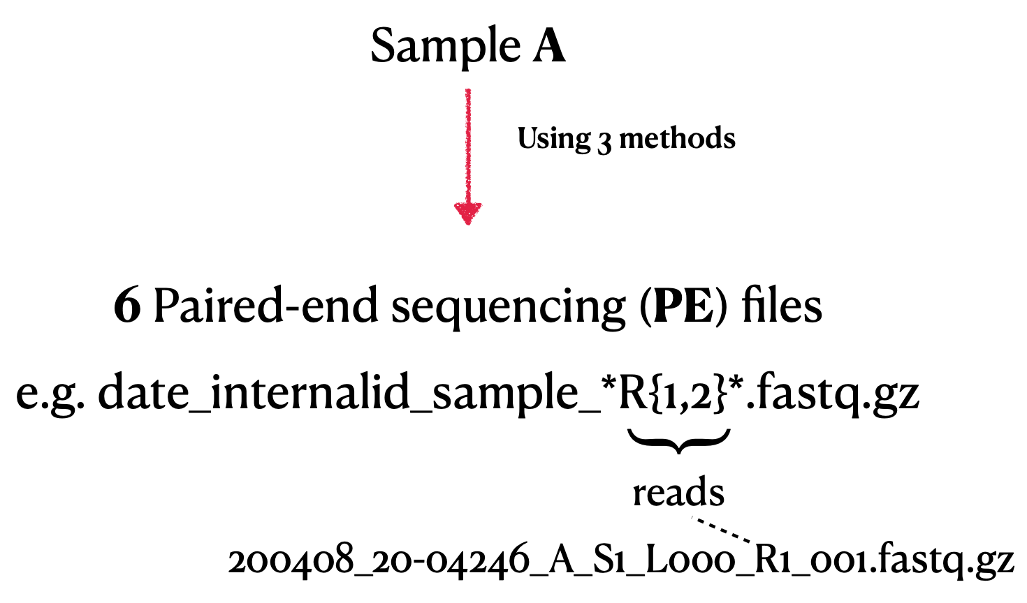 File Description